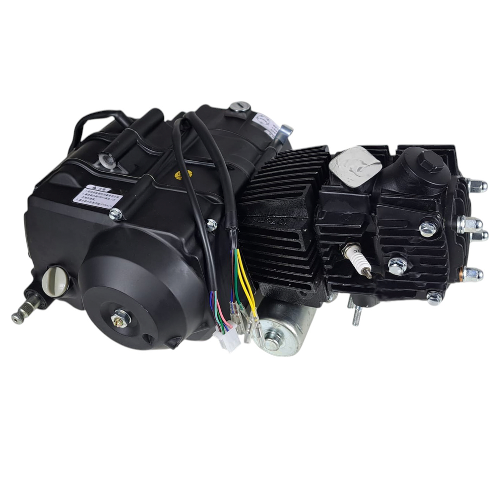Motor completo 110cc (c/ Motor Arranque por Baixo) (auto) - Comp. Tox (Volcano 110) / Pitbike