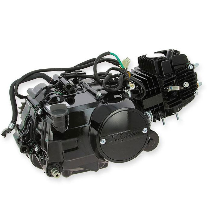 Motor (completo) (cor: preto) EURO 3 / Skyteam (T-REX 125)